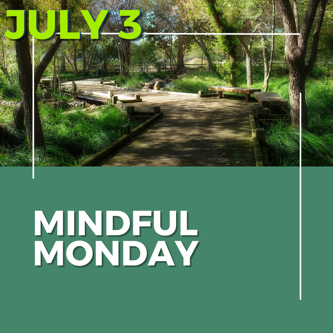 Mindful Monday Photo of Edith Morely Park