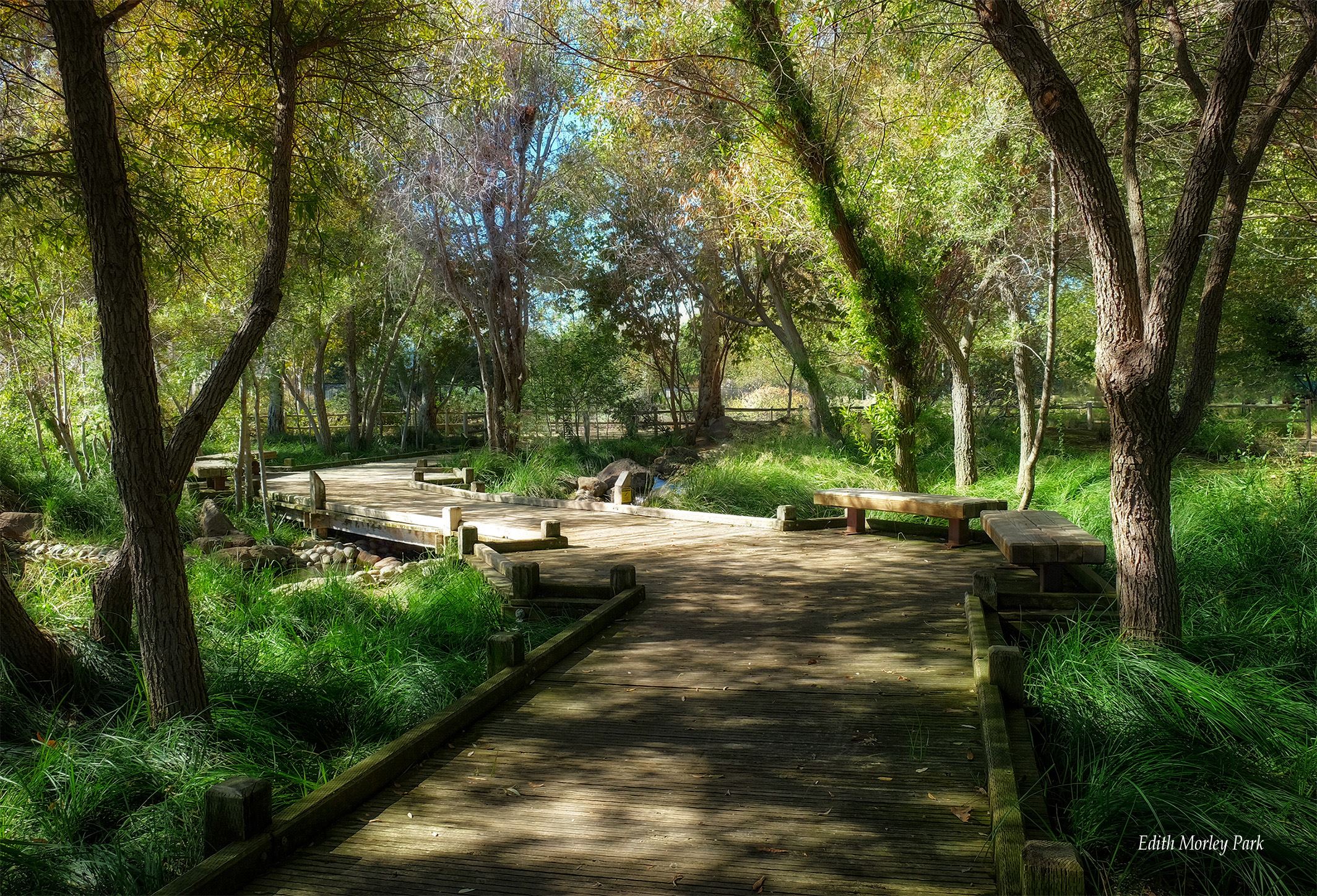 EM Park footbridge_HDR II 72 dpi